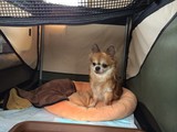 アップロードファイル 111KB